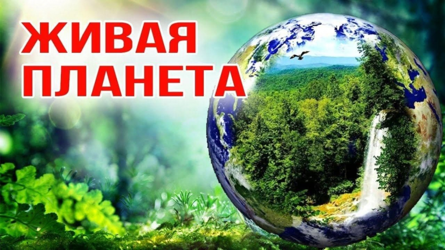 76b72efb-4562-52b2-ae64-1c22b53cdc73 (1)