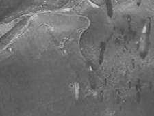 Сталинградская битва