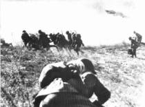 Сталинградская битва