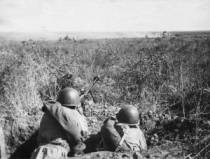 Сталинградская битва