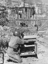 Сталинградская битва