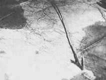 Сталинградская битва