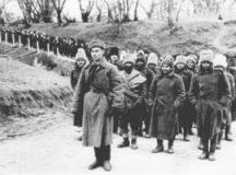 Сталинградская битва