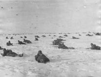 Сталинградская битва