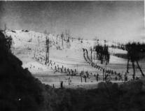 Сталинградская битва