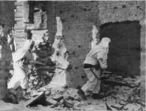 Сталинградская битва