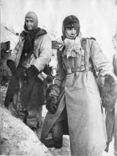 Сталинградская битва