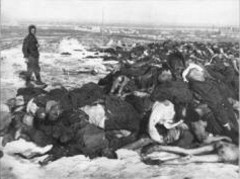 Сталинградская битва